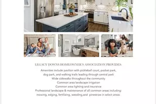 233 Legacy Downs Dr, Canton, GA 30115 - Photo 8