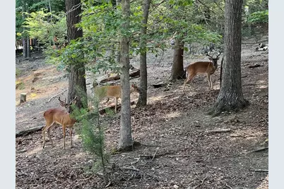 358 Garfield Drive, Ellijay, GA 30540 - Photo 52