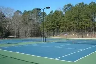 358 Garfield Dr, Ellijay, GA 30540 - Photo 56