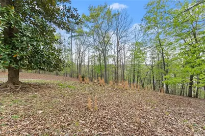 2524 Thompson Ovlk, Gainesville, GA 30506 - Photo 8