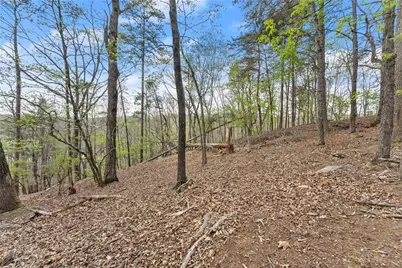 2524 Thompson Ovlk, Gainesville, GA 30506 - Photo 4