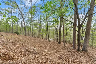 2524 Thompson Ovlk, Gainesville, GA 30506 - Photo 6