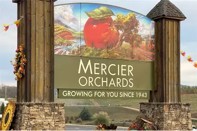 12877 Appalachian, Morganton, GA 30560 - Photo 44