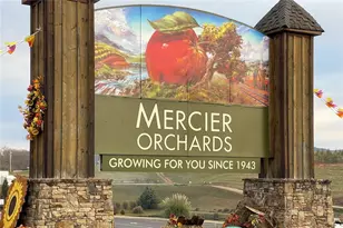 12877 Appalachian, Morganton, GA 30560 - Photo 44