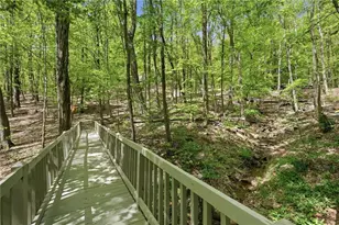 225 Windflower Dr, Big Canoe, GA 30143 - Photo 46