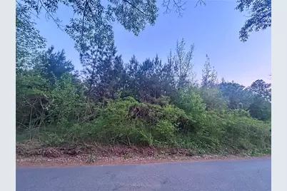 113 Old Alabama Wagon Road, Taylorsville, GA 30178 - Photo 2