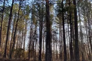 2200 Lebanon Church Lot 3, Jefferson, GA 30549 - Photo 1