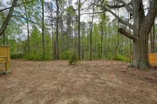 117 Chester Harris Dr, Dallas, GA 30132 - Photo 34