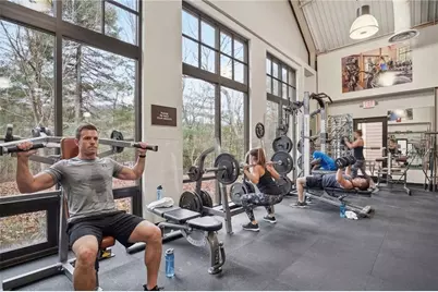 229 Tea Berry Lane, Jasper, GA 30143 - Photo 42