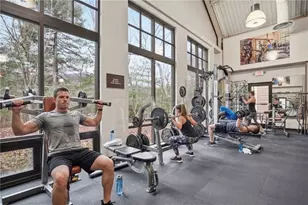 229 Tea Berry Ln, Jasper, GA 30143 - Photo 42