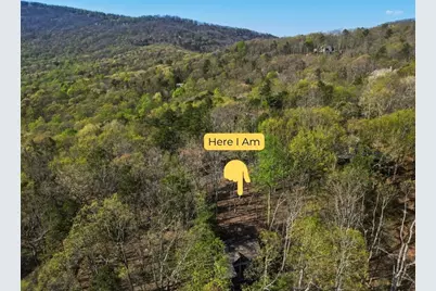 229 Tea Berry Lane, Jasper, GA 30143 - Photo 44