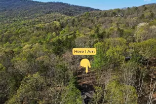 229 Tea Berry Ln, Jasper, GA 30143 - Photo 44