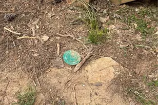 54 Holly Dr, Carrollton, GA 30116 - Photo 58