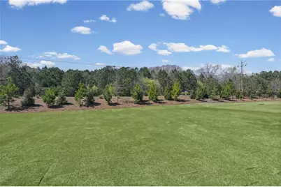 252 Nesta Grove Drive, Locust Grove, GA 30248 - Photo 24