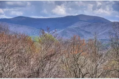 1113 Cherry Lake Drive, Cherrylog, GA 30522 - Photo 40