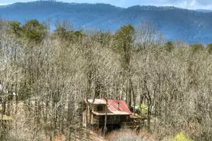 1113 Cherry Lake Drive, Cherrylog, GA 30522 - Photo 52