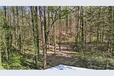 181 Pinecone Lane, Canton, GA 30114 - Photo 32