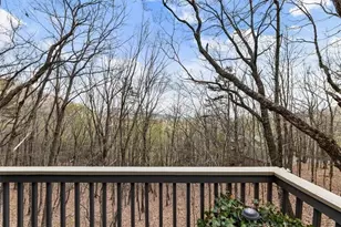 248 Lone Wolf Trail, Jasper, GA 30143 - Photo 38