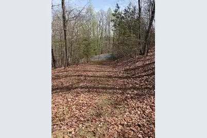 0 Brumby Run, Blairsville, GA 30512 - Photo 12