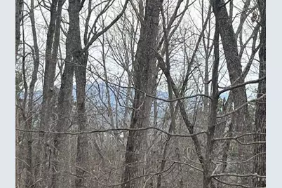 0 Brumby Run, Blairsville, GA 30512 - Photo 2