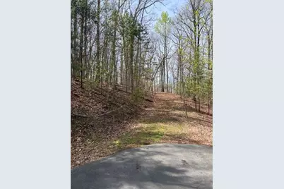 0 Brumby Run, Blairsville, GA 30512 - Photo 6