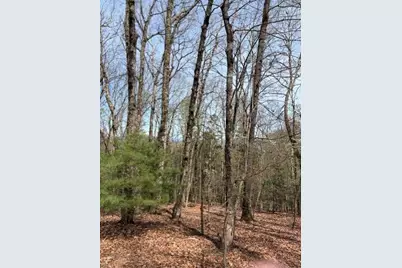 0 Brumby Run, Blairsville, GA 30512 - Photo 12