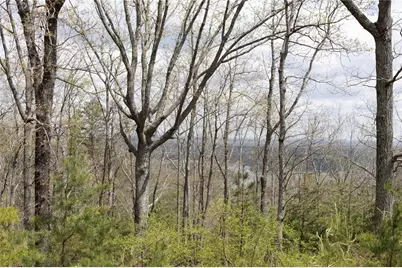 12 Signal Mountain Circle, Cartersville, GA 30121 - Photo 10