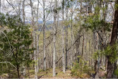 12 Signal Mountain Circle, Cartersville, GA 30121 - Photo 8