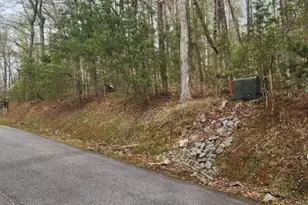 0 Yellow Trillium (Lot 13), Clayton, GA 30525 - Photo 1