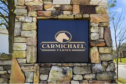 462 Carmichael Circle, Canton, GA 30115 - Photo 58