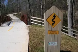 416 Nickajack Retreat Ln, Smyrna, GA 30082 - Photo 58