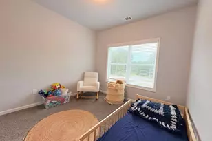 3029 Hwy 17, Clarkesville, GA 30523 - Photo 10