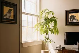 320 Martin Luther King Jr Dr SE, Atlanta, GA 30312 - Photo 30