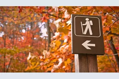 204 Lakeside Drive, Waleska, GA 30183 - Photo 46