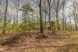 3585 Old Hwy 100 S, Tallapoosa, GA 30176 - Photo 4