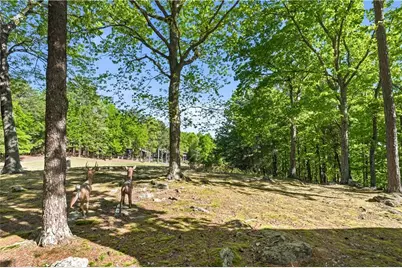 114 Cherokee Drive S, Waleska, GA 30183 - Photo 40