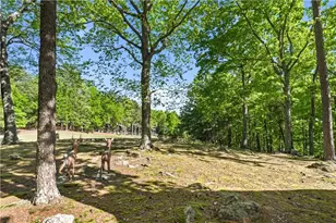 114 Cherokee Dr S, Waleska, GA 30183 - Photo 40
