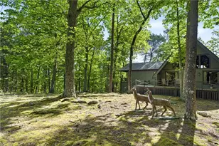 114 Cherokee Dr S, Waleska, GA 30183 - Photo 40