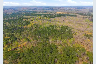 0 Rivertown Road, Fairburn, GA 30213 - Photo 8