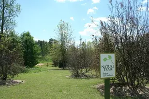 4320 Jeston Ct, Cumming, GA 30028 - Photo 66