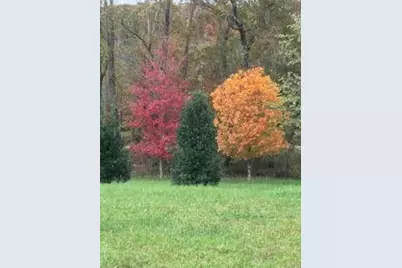 353 Riverwood Road, Lula, GA 30554 - Photo 78