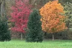 353 Riverwood Rd, Lula, GA 30554 - Photo 78