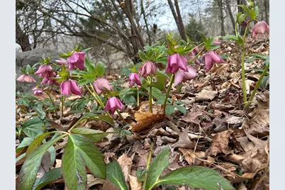 353 Riverwood Road, Lula, GA 30554 - Photo 76