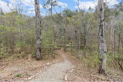 496 Meadow Lane, Talking Rock, GA 30175 - Photo 44