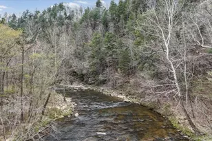 496 Meadow Ln, Talking Rock, GA 30175 - Photo 50