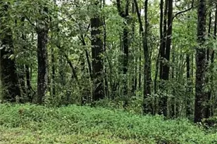 30 Honeysuckle Hwy, Jasper, GA 30143 - Photo 1