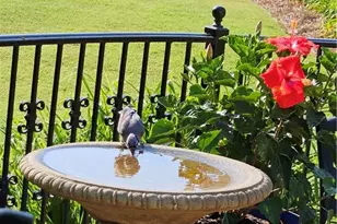 1524 Holly Lake Circle, Snellville, GA 30078 - Photo 70