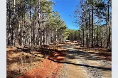1107 Larmon Forks Road, Dahlonega, GA 30533 - Photo 2