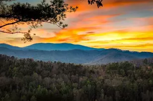 267 Oasis Dr, Blue Ridge, GA 30513 - Photo 6