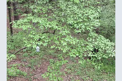 121 Killdeer Lane, Monticello, GA 31064 - Photo 40